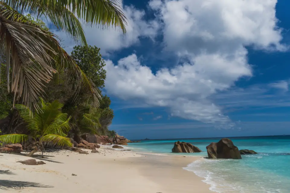 Secluded white sandy beach lined with tropical palm trees and lush greenery, bordered by turquoise ocean water beneath a cloudy sky.